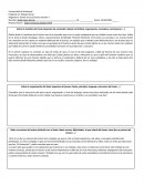 Teoría de las Ciencias Sociales