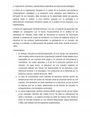 Organización Industrial y características específicas de esta escuela estratégica