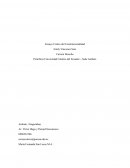 Control del Constitucionalidad