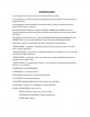 Antropologia