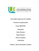 ESTRUCTURA ORGANIZACIONAL ECOPETROL