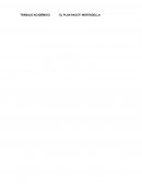 PLAN HACCP MORTADELA