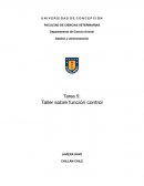 Taller sobre funcion control