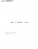Ensayo Nº 1 “ El agua en la mineria”