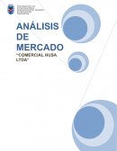 Analisis de mercado "Comercial Husa Ltda"