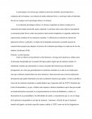 Rol del psicologo clinico y forense