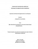 Importancia del Desarrollo Organizacional en las Empresas
