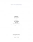 LOS PLANOS ARQUITECTONICOS