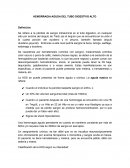 HEMORRAGIA AGUDA DEL TUBO DIGESTIVO ALTO