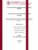 IMPACTO DEL MARKETING POLITICO EN LA DECISIÓN DE LOS VOTANTES EN LAS ELECCIONES PRESIDENCIALES DEL PERÚ, DISTRITO DE SANTA ANITA 202