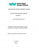 Lupus Eritematoso Sistémico