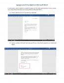 Manual para registrar de firma en Word