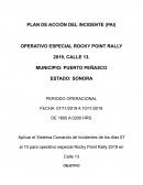 Plan de accion de incidente