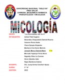 Micología. “Los Dermatofitos del 3ro A”