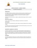 PRÁCTICA CALIFICADA N° 1: UNIDADES Y MEDIDAS