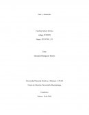 Importancia de la Estadística Descriptiva