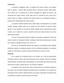 Anatomia del Cuerpo Humano