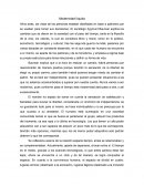 Modernidad líquida - Síntesis