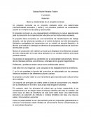 Resumen Marco y componentes de un proyecto curricular