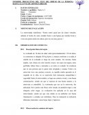 INFORME PROYECTIVO DEL TEST DEL DIBUJO DE LA PERSONA BAJO LA LLUVIA DE ARNOLD ABRAMS