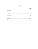 Informe del huerto escolar