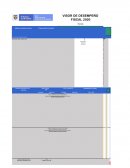 VISOR DE DESEMPEÑO FISCAL 2020