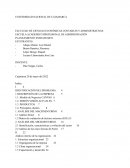 PLANEAMIENTO ESTRATEGICO “Castope S.A.C”