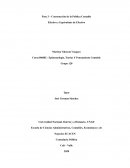 Pensamiento contable Construcaribe S.A.