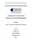 HABILIDADES PARA LA INVESTIGACIÓN TRABAJO DE APLICACION PROFESIONAL