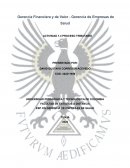 Gerencia Financiera y de Valor - Gerencia de Empresas de Salud