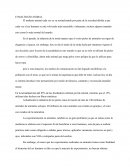 Ensayo maltrato animal