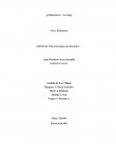 Plan estratégico de mercadeo Mahoastores – Sex-shop