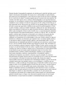 Rayos x