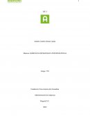 GERENCIA ESTRATÉGICA INTERNACIONAL