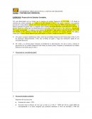 EJERCICIO: Proyección de Estados Contables. Contabilidad Gerencial