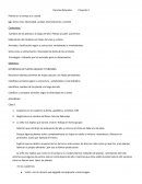 Plantas en el campo y la ciudad