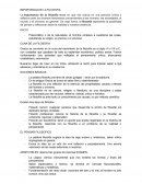 IMPORTANCIA DE LA FILOSOFIA