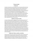ENSAYO DEL LIBRO ETICA PARA AMADOR