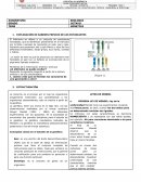 GENETICA