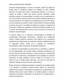 Evaluación neuropsicológica