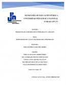 DIMENSIONES DE LAS INCAPACIDADES DEL APRENDIZAJE