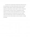 El ejercicio profesional, la Ecología Humana y el bienestar individual