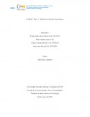 Modelos de Intervención en Psicología