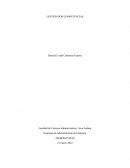 GESTIÒN POR COMPETENCIAS