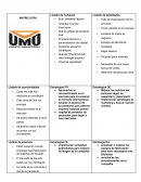 Organigrama umo