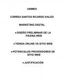 Manual de pagina web