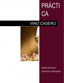 Practica de Vino casero