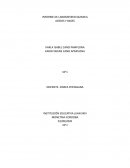 INFORME DE LABORATORIO QUIMICA ACÍDOS Y BASES