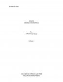 ENSAYO VIOLENCIA ECONÓMICA
