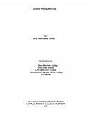 Segunda entrega costos y presupuestos